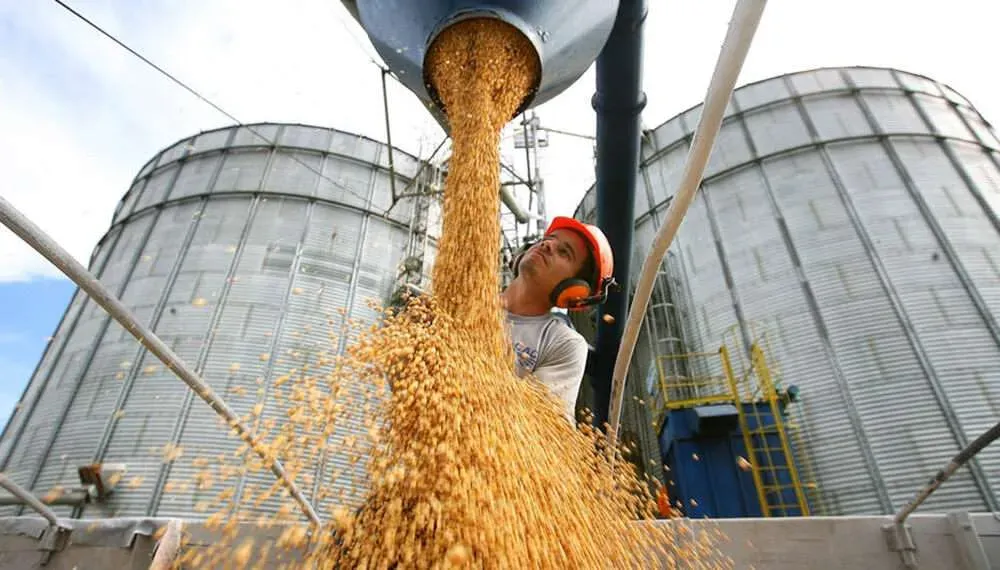 Soybean Silo Storage
