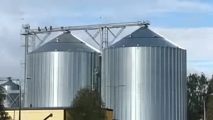 Read more about the article Why Grain Storage Silos are Essential For Storing Planting Seeds